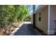 Long driveway leading to a detached garage, lined with bamboo, and next to the house at 624 Harris Nw St, Concord, NC 28025