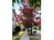 A tranquil street lined with mature trees displaying vibrant fall colors at 12123 Monteith Grove Dr, Huntersville, NC 28078