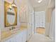 Charming bathroom with a unique sink and gold-framed mirror at 2423 Lemon Tree Ln, Charlotte, NC 28211