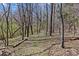 Backyard shot showing many trees and a walking trail, and lots of ground foliage and leaf litter at 2615 Farm House Ln, Monroe, NC 28110