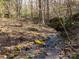 Creek flowing through the property at 5534 Little Mountain Rd, Catawba, NC 28609