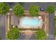 Aerial view of a community pool surrounded by mature trees and lounge chairs at 8123 Village Harbor Dr, Cornelius, NC 28031