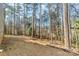 Level backyard with mature trees, offering a serene and private outdoor space at 2206 Hillcrest Ave, Albemarle, NC 28001
