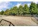Landscaped backyard featuring a well-maintained lawn, mature trees and a privacy fence at 2056 Angel Oak Dr, Fort Mill, SC 29715