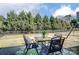 Backyard patio featuring a glass table with cushioned chairs, a decorative rug, and mature trees at 2056 Angel Oak Dr, Fort Mill, SC 29715