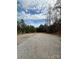 Open driveway surrounded by tall trees for privacy and tranquility at 3437 Wilkesboro Hwy, Statesville, NC 28625