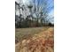 Spacious backyard featuring natural setting with grass, bare trees, and dirt at 3437 Wilkesboro Hwy, Statesville, NC 28625