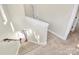 Carpeted staircase with white railing and natural light creates an inviting atmosphere at 1037 Pierre Dr, Charlotte, NC 28205
