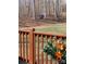 Backyard view from a deck with orange flowers and wooded lot at 312 Sailwinds Rd, Mooresville, NC 28115