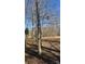 Picture of the lot with many trees and a wooden fence line at 312 Sailwinds Rd, Mooresville, NC 28115