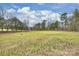 Large grassy yard under a blue sky providing lots of room at 117 Maple Hill Rd, Monroe, NC 28110