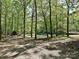 Secluded cabin nestled among tall trees with a scenic pond view at 124 Canterbury Ln, Matthews, NC 28104