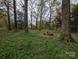 Backyard with trees, grass and an outdoor seating area with a picnic table at 1536 Plyler Lake Rd, Gastonia, NC 28054