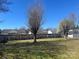 Spacious backyard features a tree, a wooden fence, and a grassy lawn in a tranquil outdoor setting at 376 Brookgreen Nw Pl, Concord, NC 28027