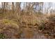 Natural creek running through this wooded property at 6285 Nc 16 N Hwy, Taylorsville, NC 28681