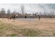 Outdoor community basketball court with picnic tables and a shelter under a cloudy sky at 12432 Bradford Park Dr, Davidson, NC 28036