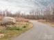 Paved community walking trail winding through a natural area, enhanced by mature trees and native grasses at 12432 Bradford Park Dr, Davidson, NC 28036