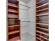 Spacious walk-in closet with carpet, shelves, and hanging bars at 11000 White Stag Dr, Charlotte, NC 28269