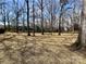 Large backyard with bare trees and ample space for recreational activities at 1937 Hickory Dr, Lancaster, SC 29720