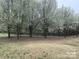 An open grassy area with blooming trees and a split rail fence in the background at 2025 Sojourn Rd, Marshville, NC 28103
