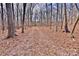 Wooded land with a path and hunting stands in the distance at 2025 Sojourn Rd, Marshville, NC 28103