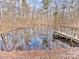 Scenic view of a small pond with a wooden dock surrounded by trees at 2025 Sojourn Rd, Marshville, NC 28103