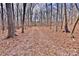 View of a wooded property and a small structure in the distance at 2025 Sojourn Rd, Marshville, NC 28103