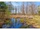 Scenic view of wooded pond with reflections of bare trees on a sunny day at 723 W Zion Church Rd, Shelby, NC 28150