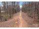 Scenic view of a long dirt road leading through a wooded area, perfect for a secluded property or nature enthusiasts at 16620 Redding Park Ln, Cornelius, NC 28031