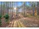 Wooded backyard with a sunlit path winding through the trees at 220 Kenway Loop # 41, Mooresville, NC 28117