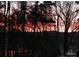 Beautiful fiery sunset shines through the trees at 220 Kenway Loop # 41, Mooresville, NC 28117