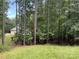 View of side and rear of home through trees showing siding and roof at 220 Kenway Loop, Mooresville, NC 28117