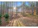 A serene path surrounded by a forest of tall pine trees provides a peaceful escape into nature at 220 Kenway Loop, Mooresville, NC 28117