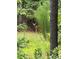 A doe looks directly at the viewer through the woods, a serene moment with wildlife near the home at 220 Kenway Loop, Mooresville, NC 28117