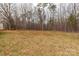 View of a large open backyard, showing the tree line at the rear of the property at 4187 Bessie Hudson Rd, Lancaster, SC 29720