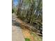 Picturesque walking trail alongside a tranquil stream, shaded by mature trees at 3400 Thistle Bloom Ct, Charlotte, NC 28269