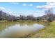 Scenic lake view with lush green shoreline and charming homes in the distance at 7306 Timbercreek Ct, Denver, NC 28037