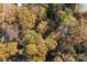 Birds-eye view of a home surrounded by colorful trees, showcasing the property's lush, natural setting at 14725 N Old Statesville Rd, Huntersville, NC 28078