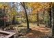 Expansive back yard with mature trees and foliage at 14725 N Old Statesville Rd, Huntersville, NC 28078