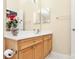 Bright bathroom featuring a wood vanity with a white countertop and decorative floral arrangement at 15707 Southern Garden Ln, Charlotte, NC 28278