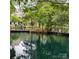 A beautiful pond with lush greenery and calming water features at 2545 Stockbridge Dr, Charlotte, NC 28210
