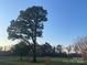 Picturesque view of a large shade tree adding to the charm and character of the property at 485 Harper Miller Dr, Cleveland, NC 27013