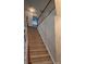 Carpeted stairs with painted risers and stained handrail at 10607 Old Bridge Ln, Charlotte, NC 28269