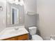 Simple bathroom features a sink, toilet and mirror at 10820 Hunters Trace Ct, Charlotte, NC 28262