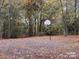 Outdoor basketball court surrounded by beautiful fall foliage at 17811 Half Moon Ln # C, Cornelius, NC 28031