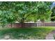 Well-maintained backyard featuring a large tree with green grass at 196 Gabriel Dr, Mooresville, NC 28115