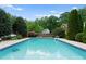 Backyard swimming pool with a concrete border and lush landscaping at 196 Gabriel Dr, Mooresville, NC 28115