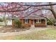 Charming brick home featuring a well-maintained lawn, blossoming tree, and inviting walkway at 3918 Woodgreen Ter, Charlotte, NC 28205