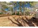 Large backyard with trees with plenty of space to play at 428 Chester St, Lancaster, SC 29720