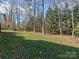 Spacious backyard with well-maintained lawn surrounded by mature trees, offering shade and privacy at 8017 Talcott Dr, Mint Hill, NC 28227